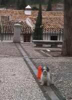 /album/fotogaleria/imag0239-jpg/