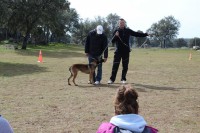 /album/fotogaleria/a481746-2887269077535-397838596-n-jpg/