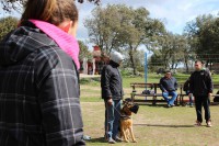 /album/fotogaleria/a986754-3887691007458-399827421-n-jpg/