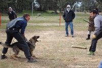 /album/fotogaleria/a1899156-3887681327216-106578343-n-jpg/