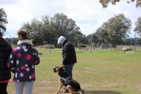 /album/fotogaleria/a1964198-3887691647474-2027332869-n-jpg/