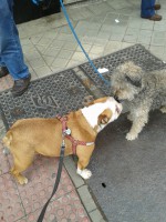 /album/fotogaleria/a20150427-123637-jpg/