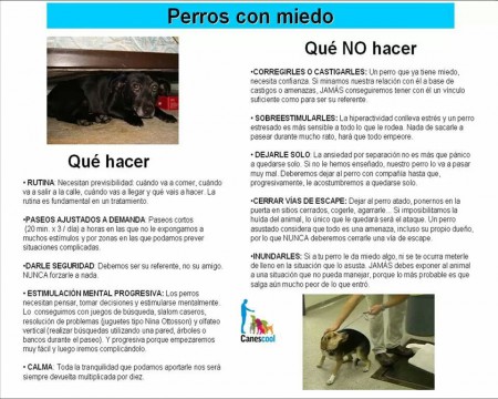 Miedo.......Qué hacer. y qué no hacer 
