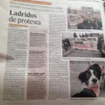 Manifestación en la capital de granada en contra del maltrato animal