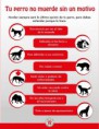 ¿por ke muerde su perro?